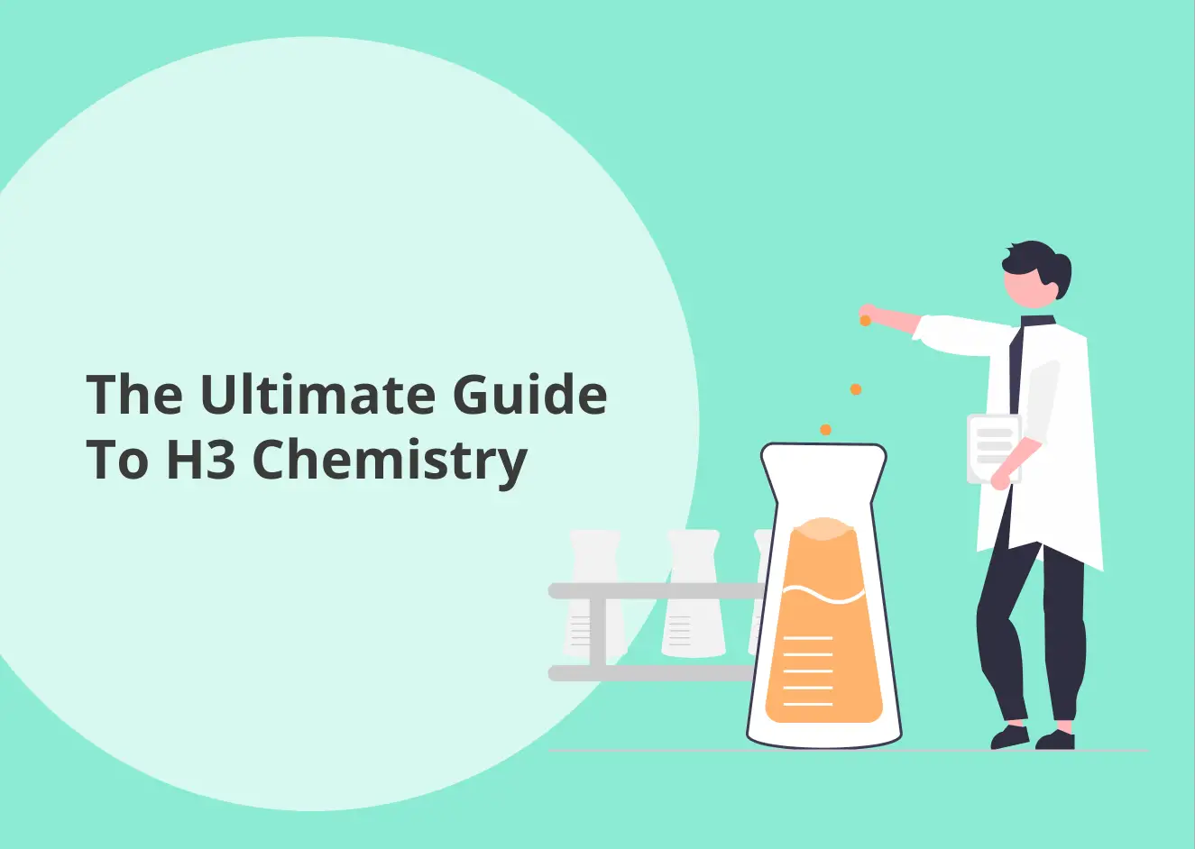 H3 Chemistry Guide